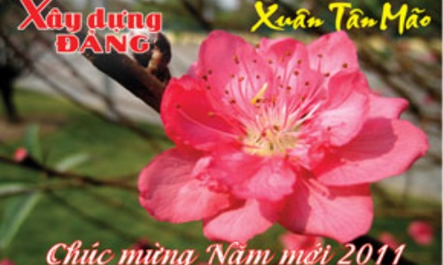 Cái gì cần phải có, cái gì khó cùng bàn...
